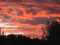 orangesunset10.jpg (52649 bytes)