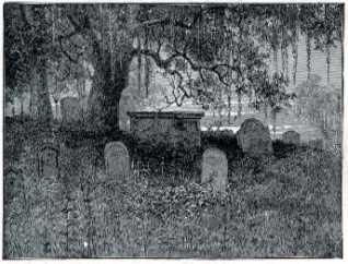 graveyard.jpg